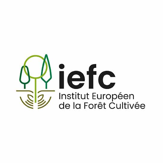 logo iefc